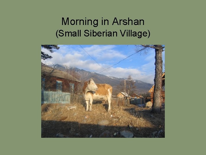 Morning in Arshan (Small Siberian Village) 
