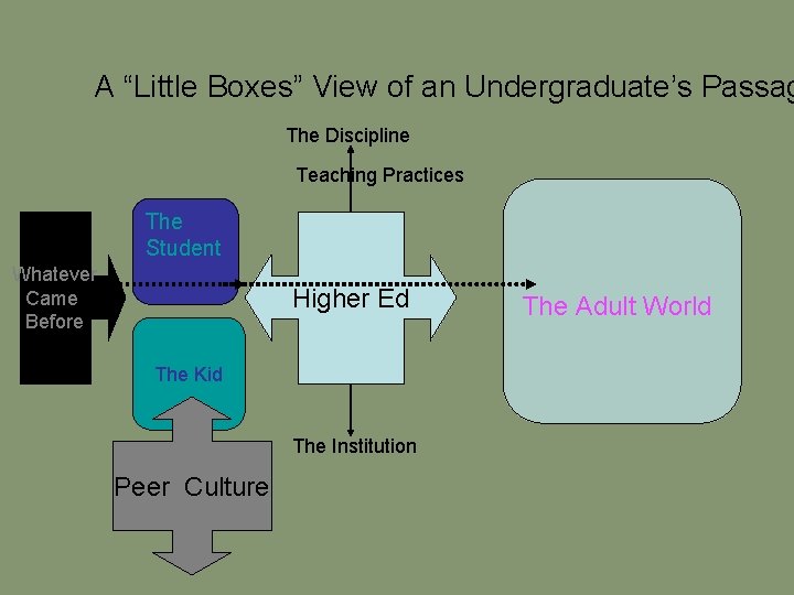 A “Little Boxes” View of an Undergraduate’s Passag The Discipline Teaching Practices The Student