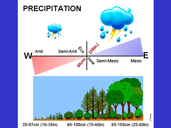 (2 Semi-Mesic E Mesic J. Corney 66 c ne to m o Semi-Arid Ec