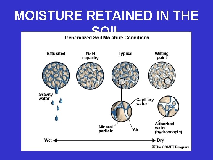 MOISTURE RETAINED IN THE SOIL 