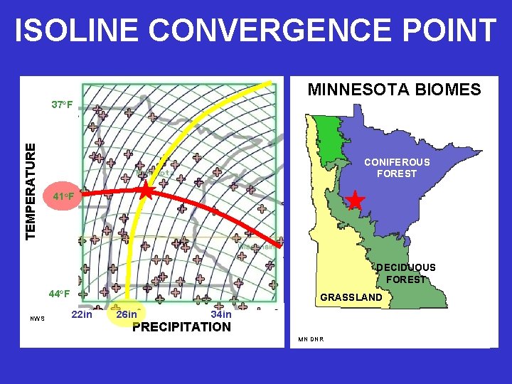 ISOLINE CONVERGENCE POINT MINNESOTA BIOMES TEMPERATURE 37 o. F CONIFEROUS FOREST 41 o. F
