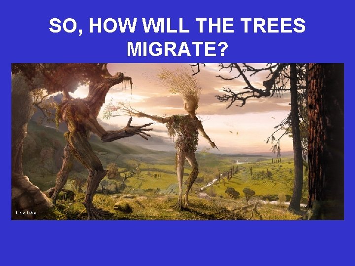 SO, HOW WILL THE TREES MIGRATE? Luka 