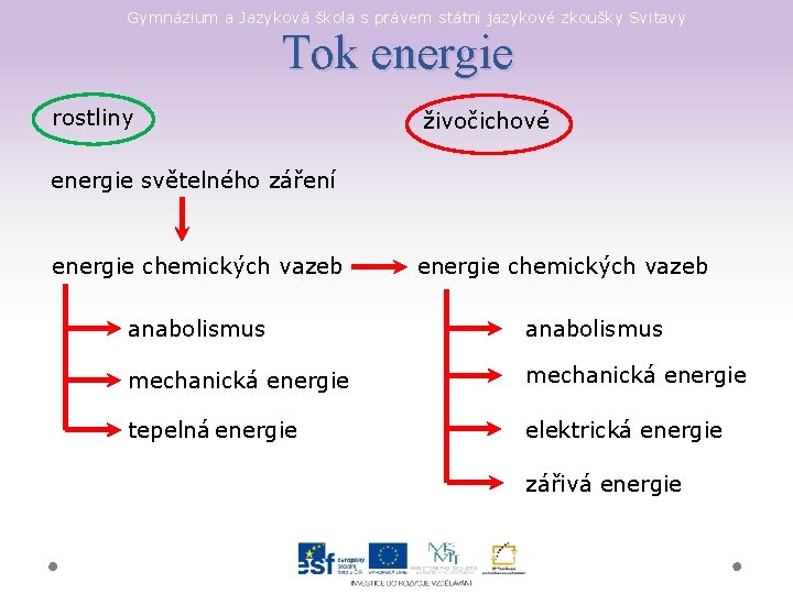 Gymnázium a Jazyková škola s právem státní jazykové zkoušky Svitavy Tok energie rostliny živočichové