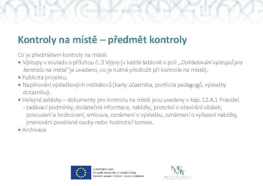 Kontroly na místě – předmět kontroly Co je předmětem kontroly na místě: • Výstupy