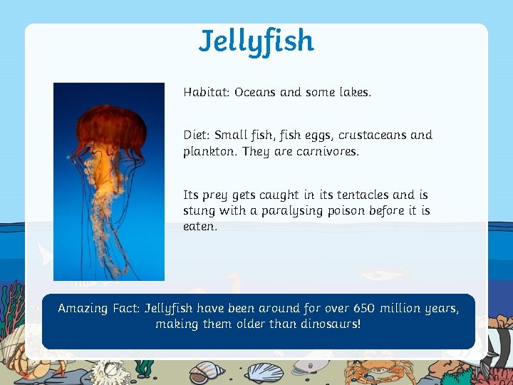 Jellyfish Habitat: Oceans and some lakes. Diet: Small fish, fish eggs, crustaceans and plankton.