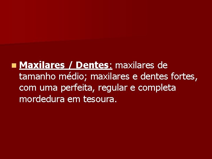 n Maxilares / Dentes: maxilares de tamanho médio; maxilares e dentes fortes, com uma