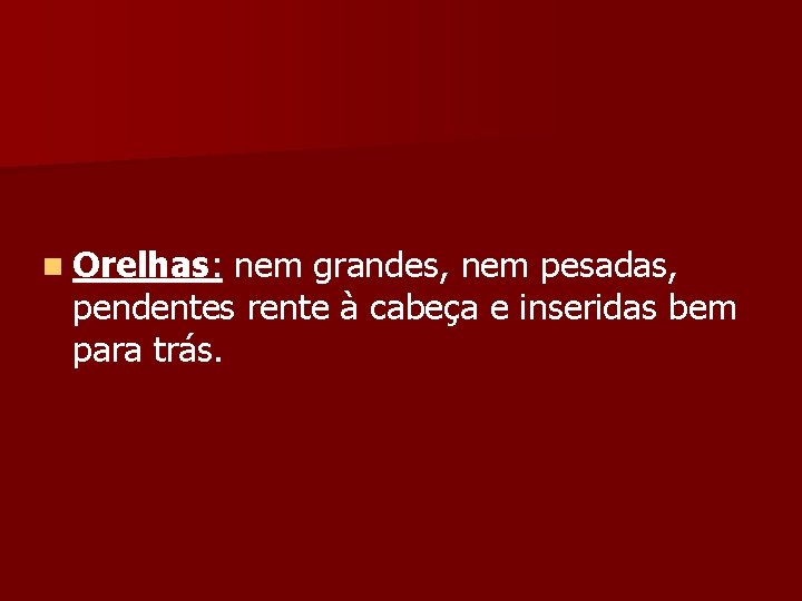 n Orelhas: nem grandes, nem pesadas, pendentes rente à cabeça e inseridas bem para