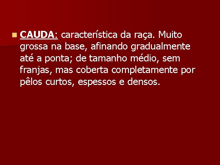 n CAUDA: característica da raça. Muito grossa na base, afinando gradualmente até a ponta;