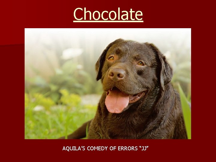 Chocolate AQUILA’S COMEDY OF ERRORS “JJ” 