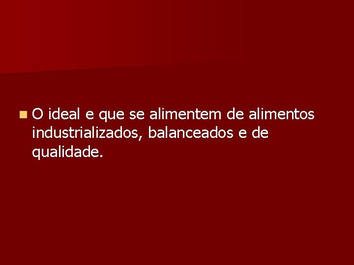 n. O ideal e que se alimentem de alimentos industrializados, balanceados e de qualidade.