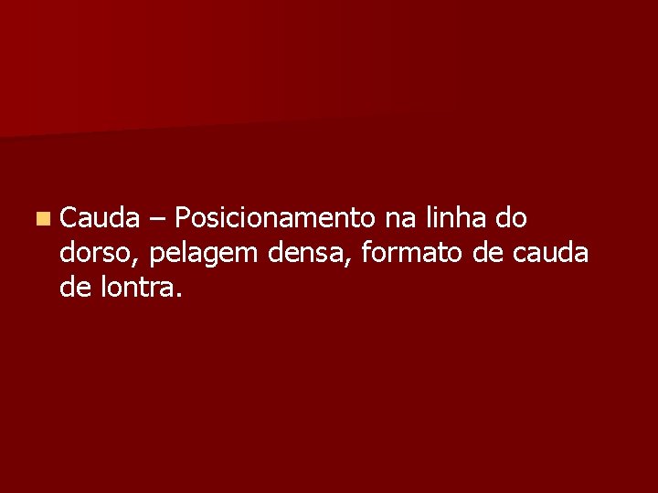 n Cauda – Posicionamento na linha do dorso, pelagem densa, formato de cauda de