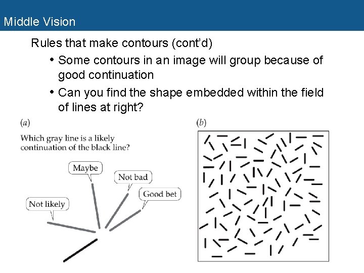 Middle Vision Rules that make contours (cont’d) • Some contours in an image will