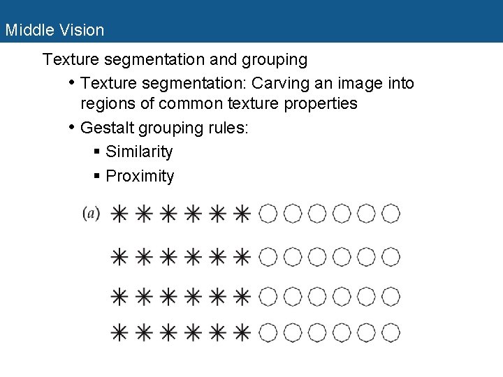 Middle Vision Texture segmentation and grouping • Texture segmentation: Carving an image into regions