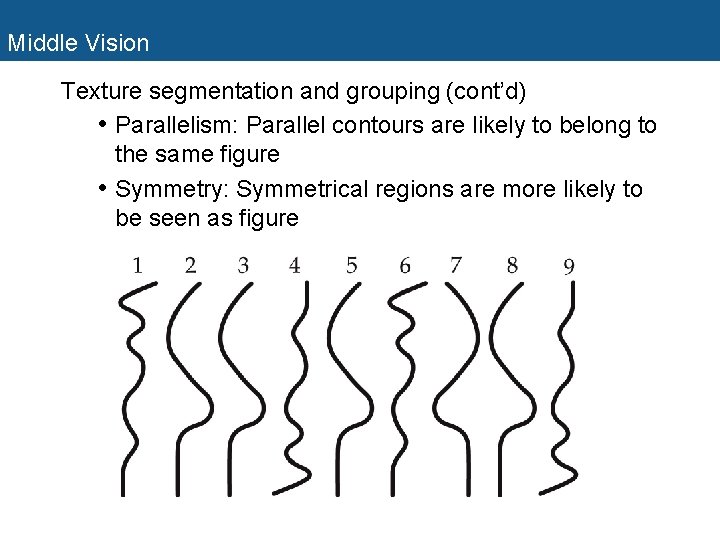 Middle Vision Texture segmentation and grouping (cont’d) • Parallelism: Parallel contours are likely to