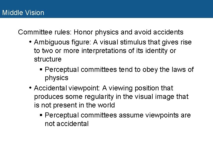 Middle Vision Committee rules: Honor physics and avoid accidents • Ambiguous figure: A visual