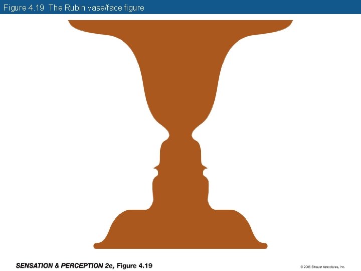 Figure 4. 19 The Rubin vase/face figure 