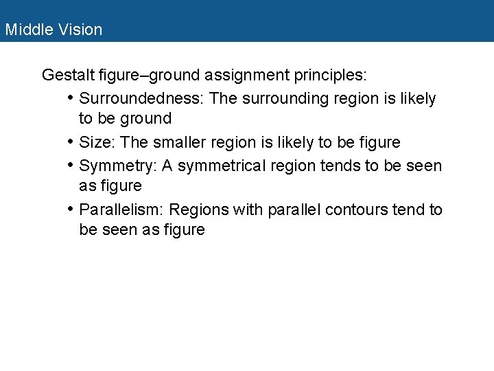 Middle Vision Gestalt figure–ground assignment principles: • Surroundedness: The surrounding region is likely to