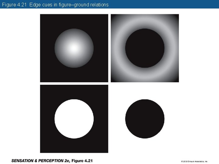 Figure 4. 21 Edge cues in figure–ground relations 