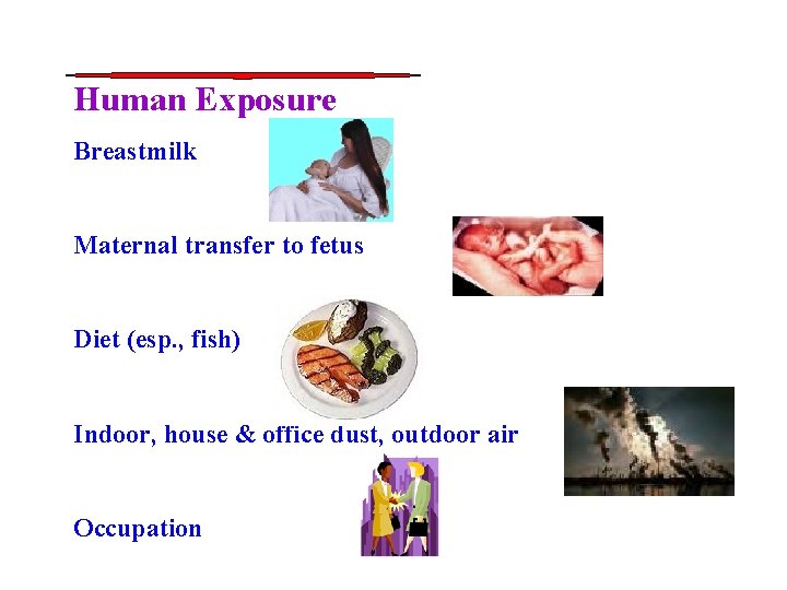 Human Exposure Breastmilk Maternal transfer to fetus Diet (esp. , fish) Indoor, house &