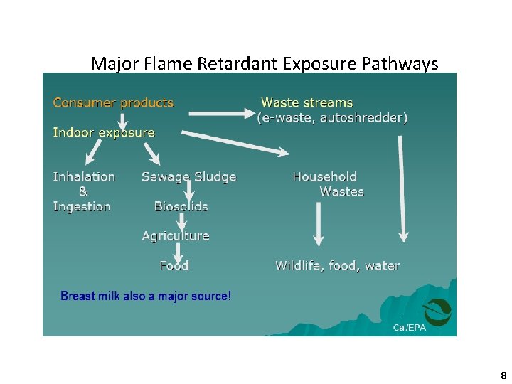 Major Flame Retardant Exposure Pathways 8 