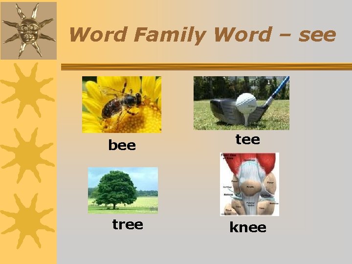 Word Family Word – see bee tree tee knee 