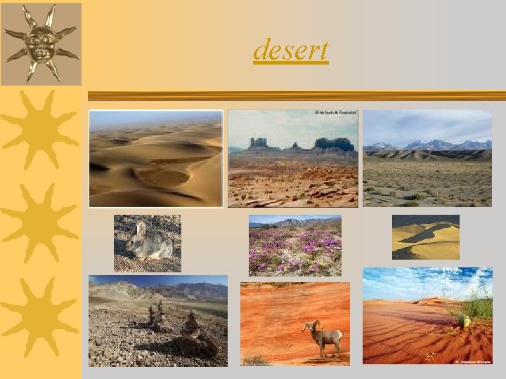 desert 