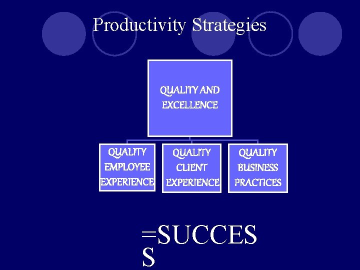 Productivity Strategies QUALITY AND EXCELLENCE QUALITY EMPLOYEE CLIENT EXPERIENCE QUALITY BUSINESS PRACTICES =SUCCES S