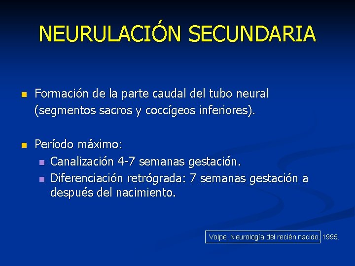 NEURULACIÓN SECUNDARIA n Formación de la parte caudal del tubo neural (segmentos sacros y