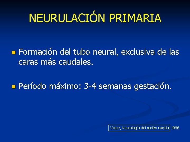 NEURULACIÓN PRIMARIA n Formación del tubo neural, exclusiva de las caras más caudales. n