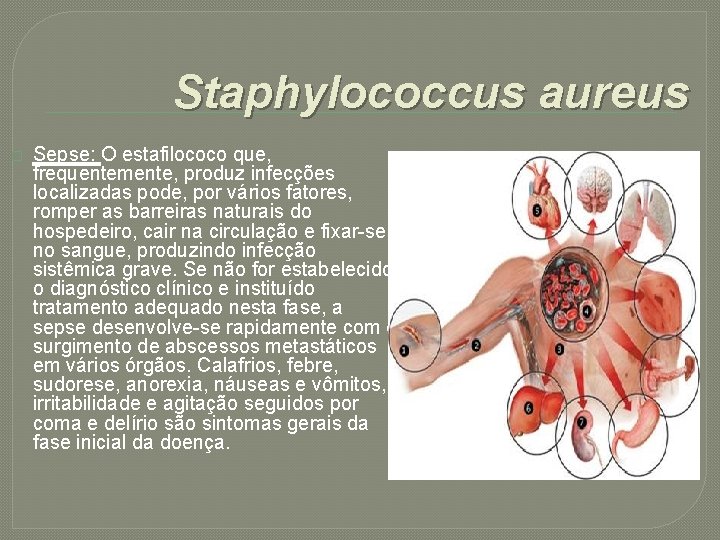 Staphylococcus aureus � Sepse: O estafilococo que, frequentemente, produz infecções localizadas pode, por vários
