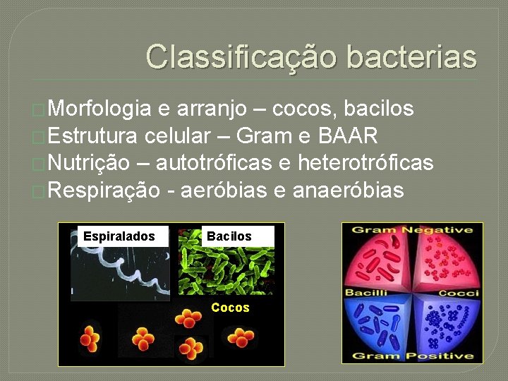 Classificação bacterias �Morfologia e arranjo – cocos, bacilos �Estrutura celular – Gram e BAAR