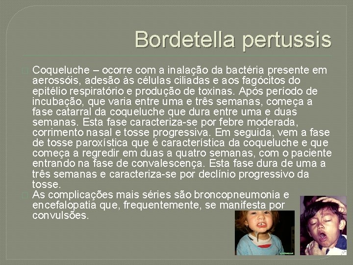 Bordetella pertussis � � Coqueluche – ocorre com a inalação da bactéria presente em