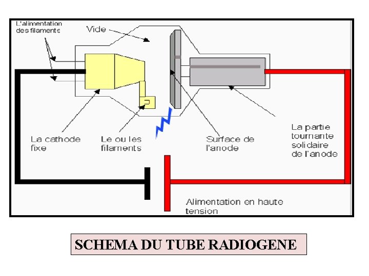 SCHEMA DU TUBE RADIOGENE 