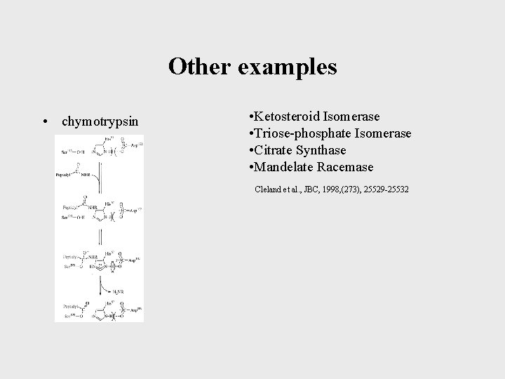 Other examples • chymotrypsin • Ketosteroid Isomerase • Triose-phosphate Isomerase • Citrate Synthase •