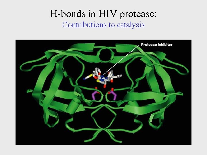 H-bonds in HIV protease: Contributions to catalysis 