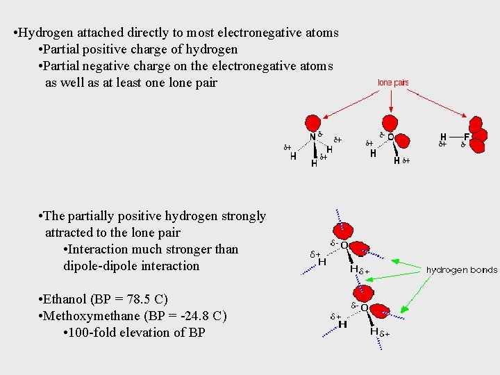  • Hydrogen attached directly to most electronegative atoms • Partial positive charge of