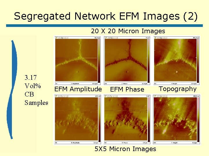 Segregated Network EFM Images (2) 20 X 20 Micron Images 3. 17 Vol% EFM