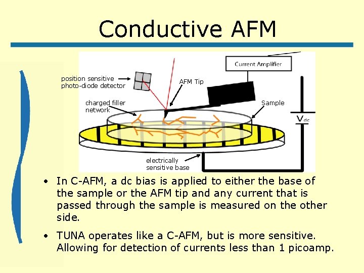 Conductive AFM position sensitive photo-diode detector AFM Tip charged filler network Sample electrically sensitive