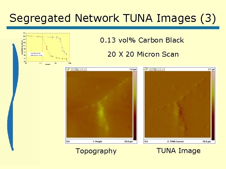 Segregated Network TUNA Images (3) 0. 13 vol% Carbon Black 20 X 20 Micron