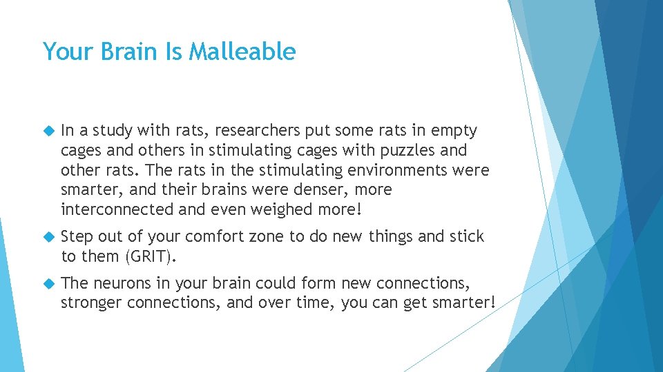 Your Brain Is Malleable In a study with rats, researchers put some rats in