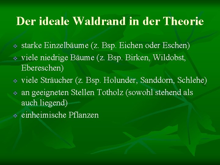 Der ideale Waldrand in der Theorie v v v starke Einzelbäume (z. Bsp. Eichen