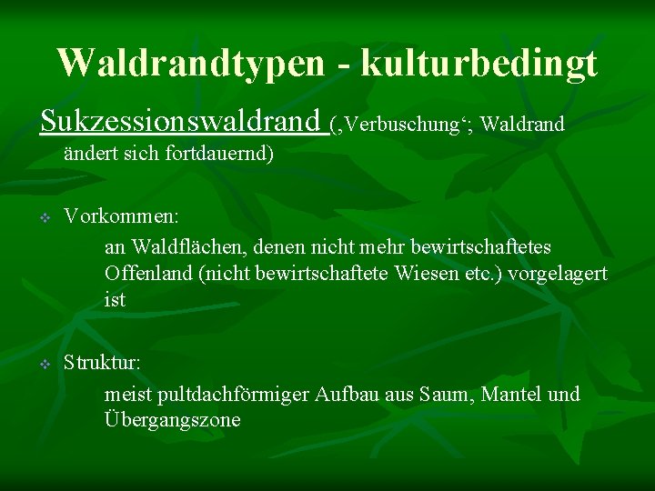 Waldrandtypen - kulturbedingt Sukzessionswaldrand (‚Verbuschung‘; Waldrand ändert sich fortdauernd) v v Vorkommen: an Waldflächen,