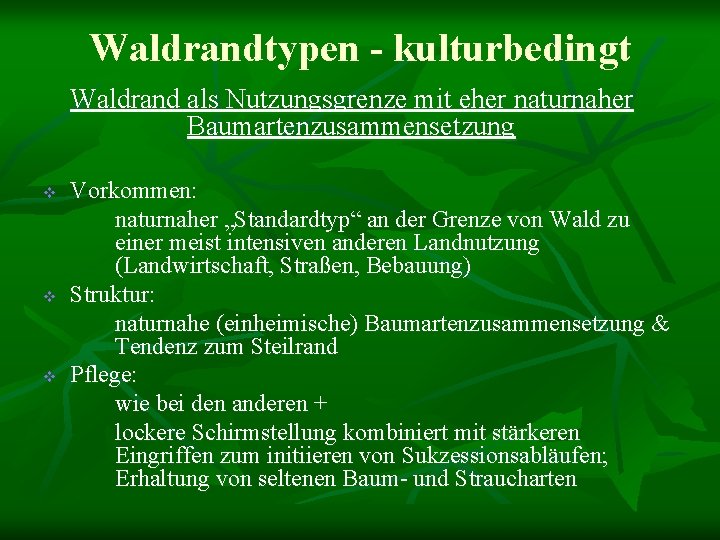 Waldrandtypen - kulturbedingt Waldrand als Nutzungsgrenze mit eher naturnaher Baumartenzusammensetzung v v v Vorkommen: