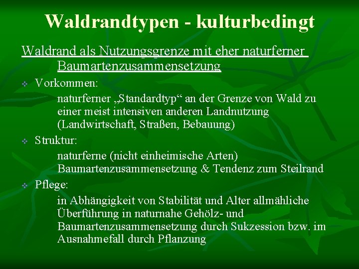Waldrandtypen - kulturbedingt Waldrand als Nutzungsgrenze mit eher naturferner Baumartenzusammensetzung v v v Vorkommen: