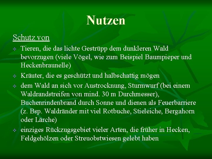 Nutzen Schutz von v v Tieren, die das lichte Gestrüpp dem dunkleren Wald bevorzugen