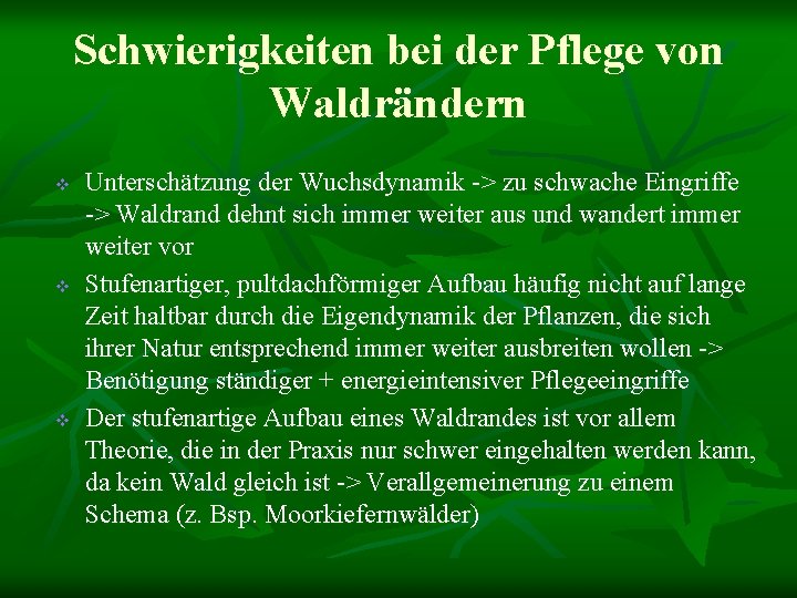 Schwierigkeiten bei der Pflege von Waldrändern v v v Unterschätzung der Wuchsdynamik -> zu