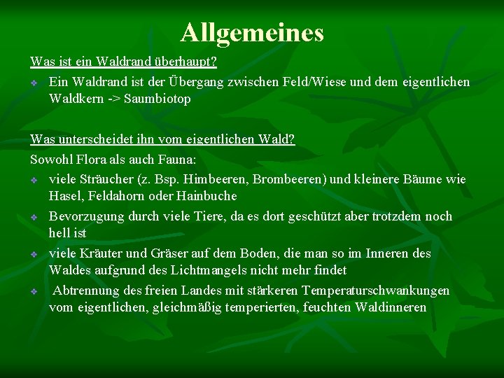 Allgemeines Was ist ein Waldrand überhaupt? v Ein Waldrand ist der Übergang zwischen Feld/Wiese