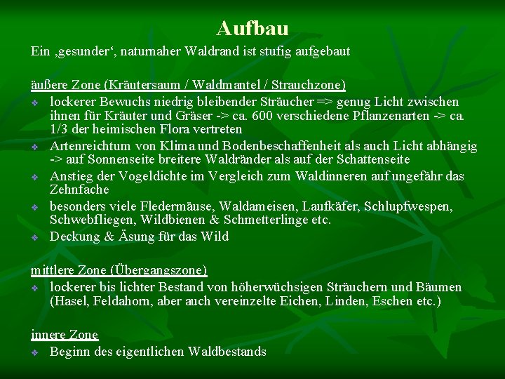 Aufbau Ein ‚gesunder‘, naturnaher Waldrand ist stufig aufgebaut äußere Zone (Kräutersaum / Waldmantel /