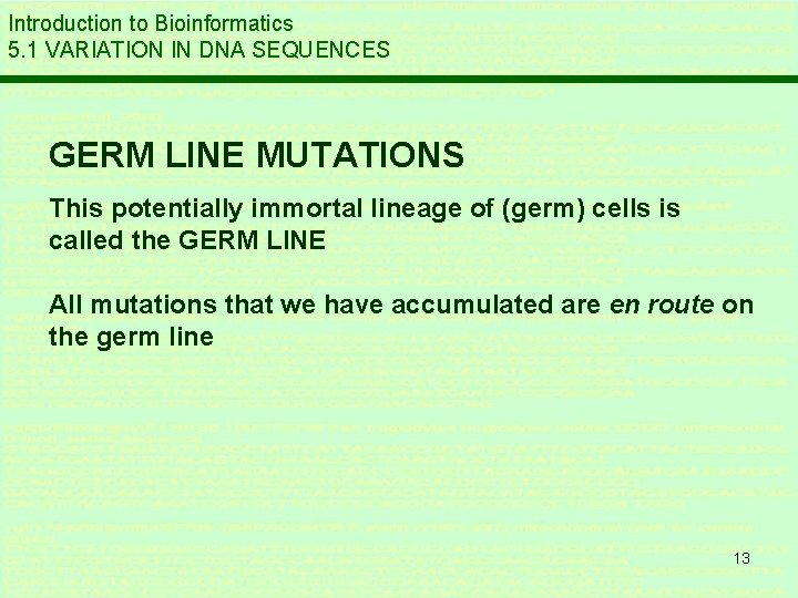 Introduction to Bioinformatics 5. 1 VARIATION IN DNA SEQUENCES GERM LINE MUTATIONS This potentially