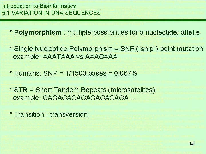 Introduction to Bioinformatics 5. 1 VARIATION IN DNA SEQUENCES * Polymorphism : multiple possibilities